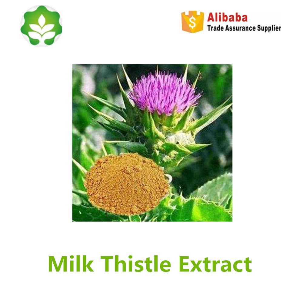 natural plant powder extract milk thistle silymarin